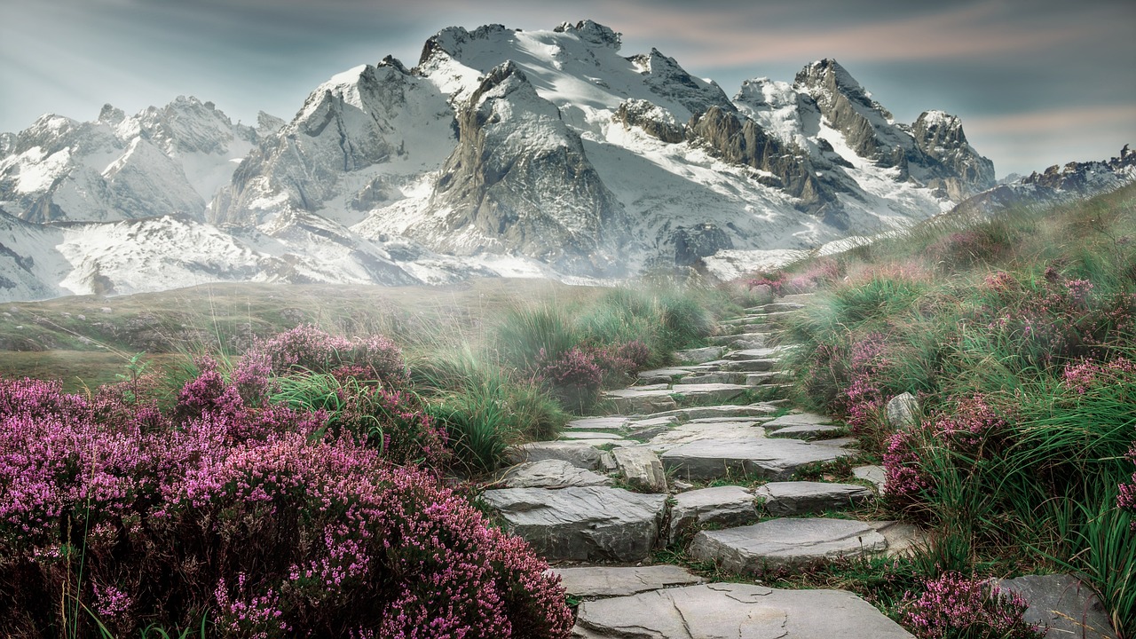 A sequence of stone steps leading upward through a serene garden.