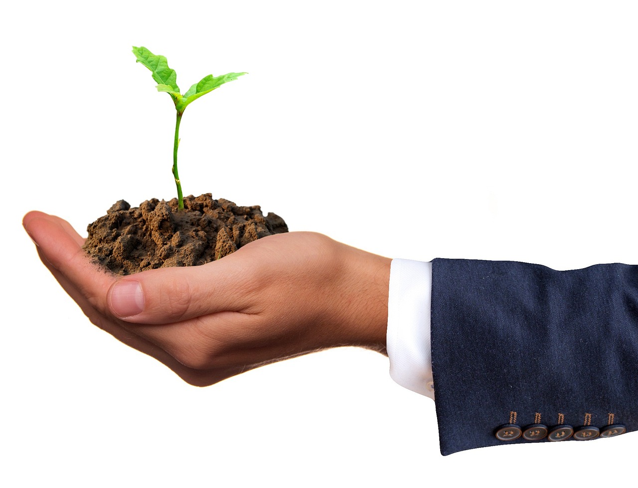A hand planting a small green sprout in a pile of golden coins representing financial growth