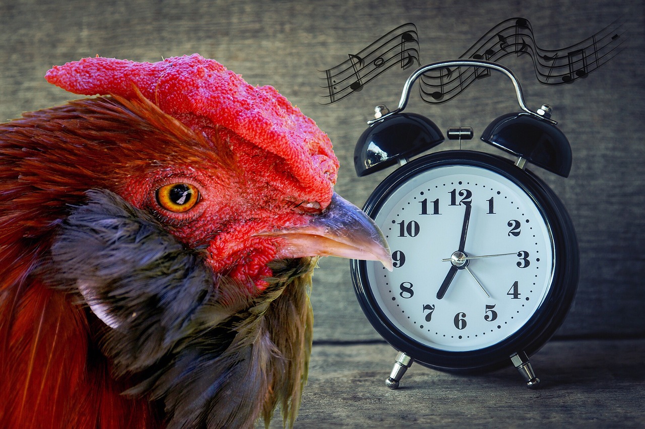 An alarm clock on a bedside table in the early morning light