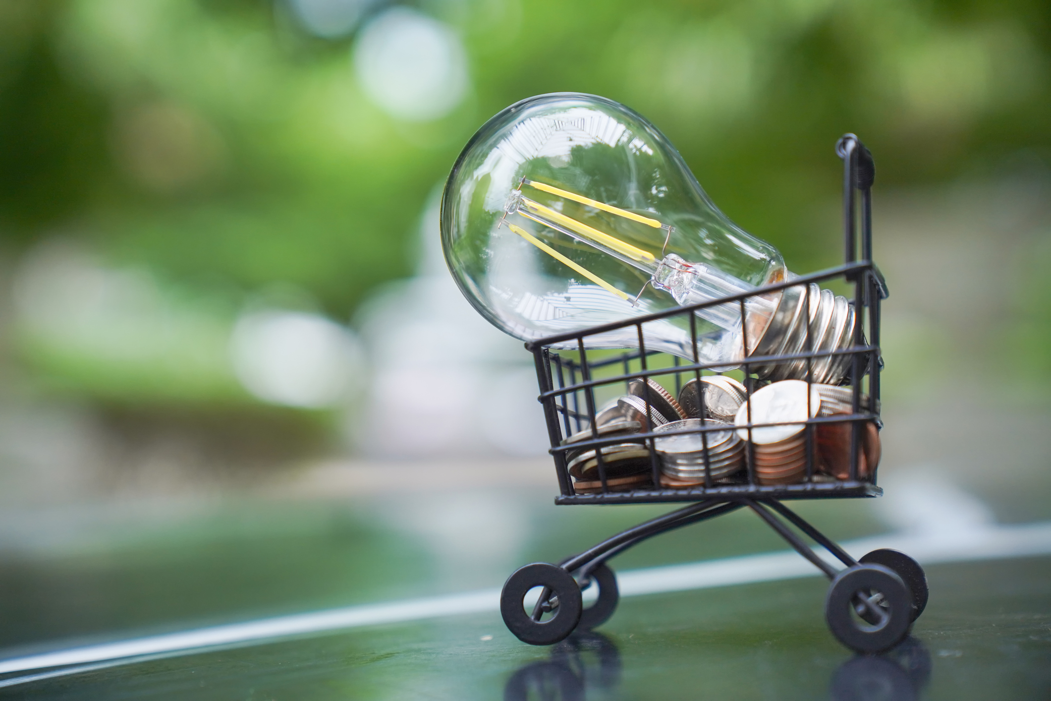 Symbolic image of a light bulb resting on coins in a shopping cart to represent energy efficiency.