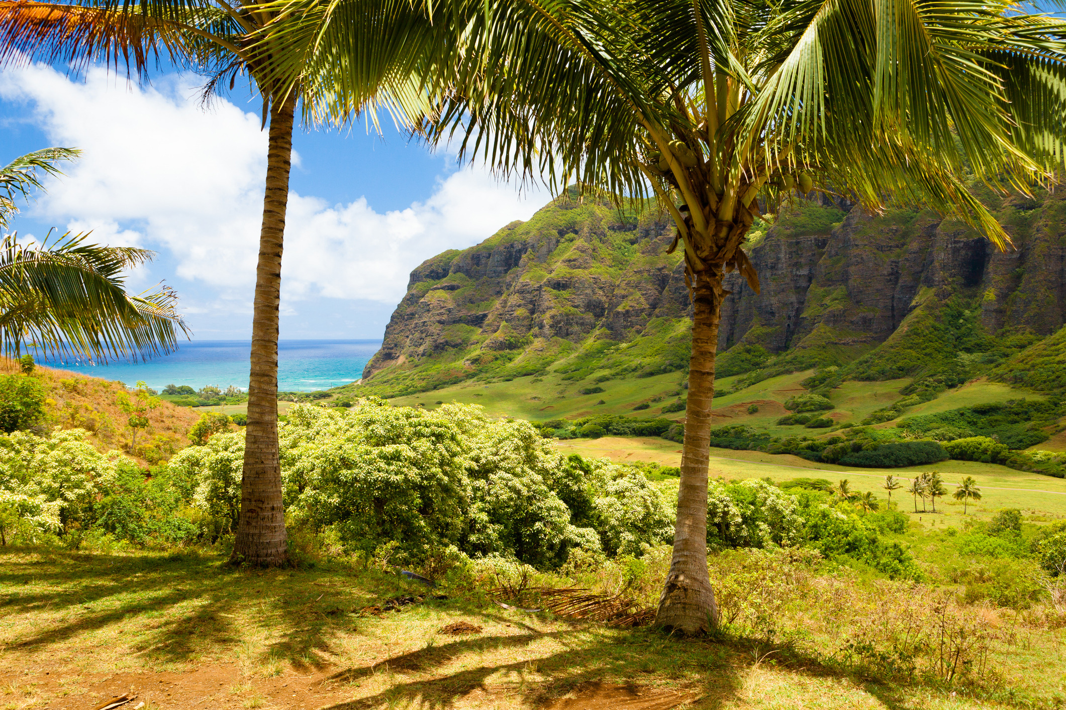 Lush tropical landscape of Ka'a'awa Valley in Oahu, Hawaii, during summer.