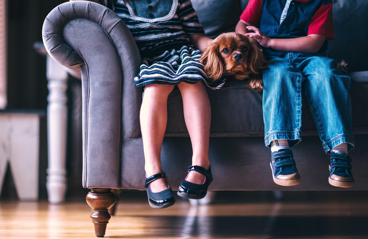 A group of young adults chatting in a shared apartment living room setting.