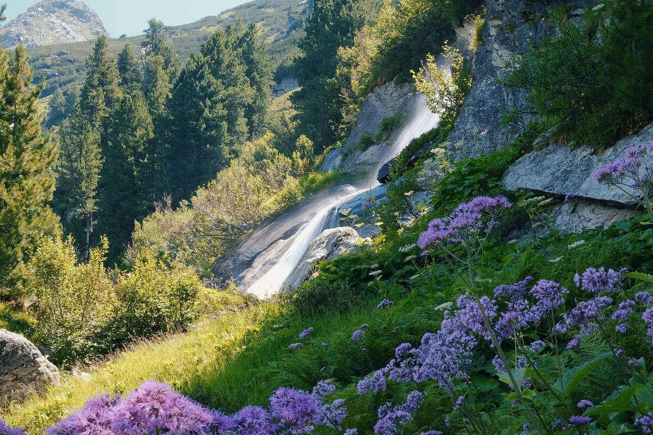 A clean, multi-tiered waterfall flowing over mossy stones in a dense forest.