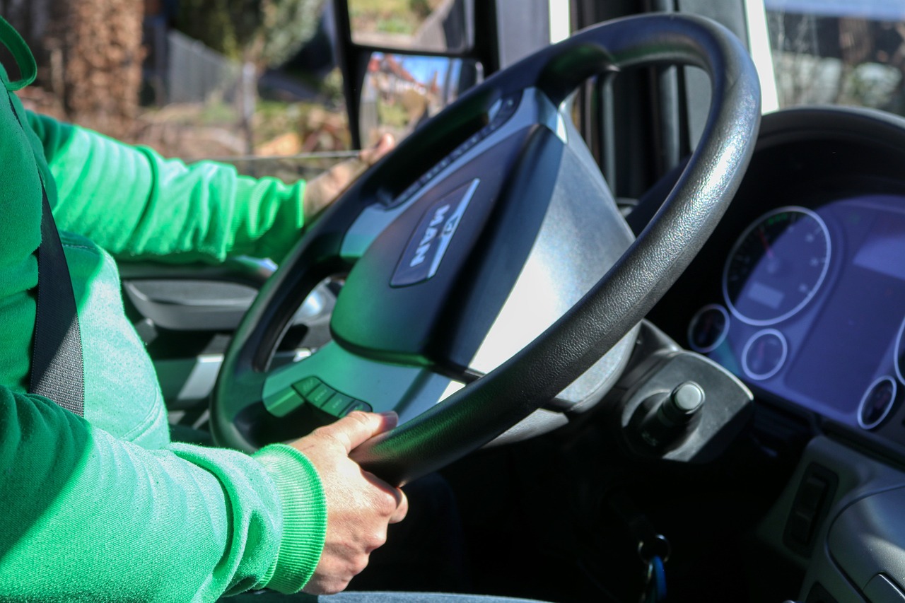A happy young adult holding their new driver license behind a steering wheel